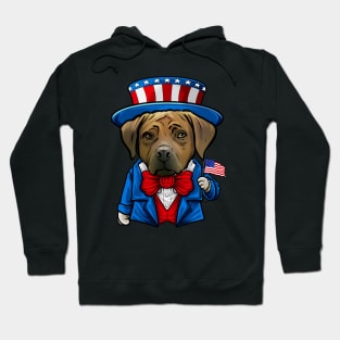 Fourth of July Rhodesian Ridgeback Hoodie